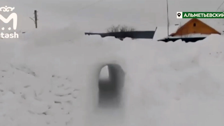 Россиянин прорубил лопатой тоннель в сугробах, чтобы его жена-инвалид могла передвигаться