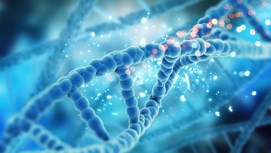 Ученые разработали средство от рака на основе искусственной ДНК