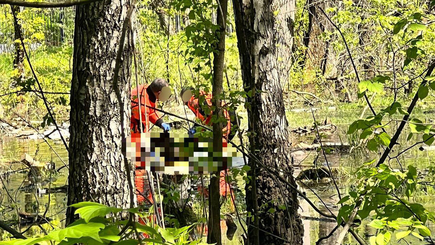 Найденная в парке Москвы мертвая девочка могла отравиться психотропными веществами