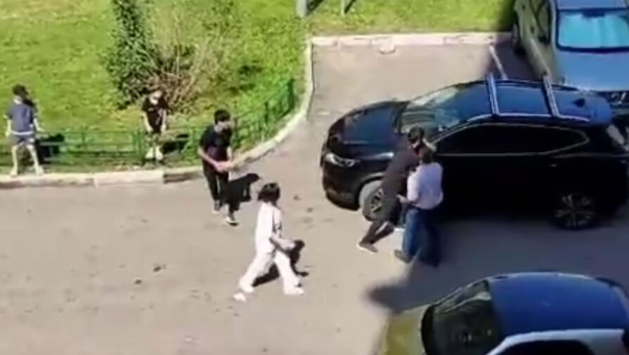 В Мытищах мигрант заехал на газон и угрожал пенсионерке после замечания о парковке