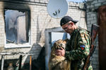 Ополченец ДНР с собакой в Донецкой области