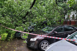 Последствия падения дерева на припаркованный автомобиль на юго-востоке Москвы, 12 июля 2025 года