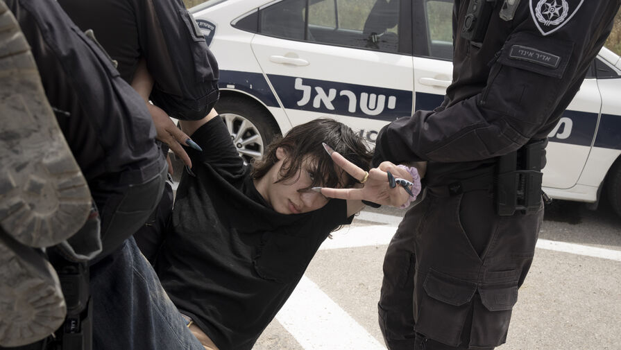 В Израиле полиция разогнала антиправительственный митинг