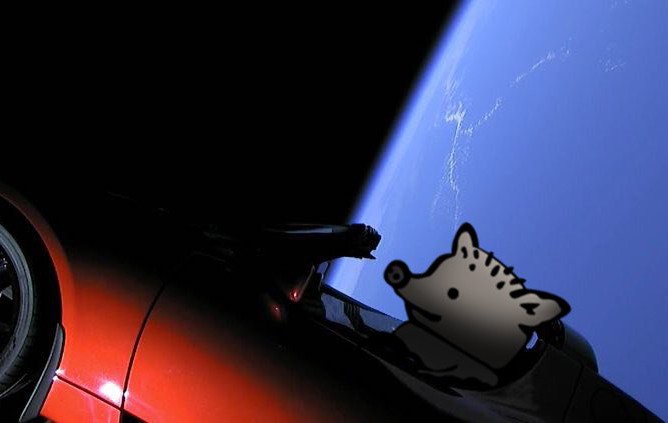 Поросенок Петр за рулем Tesla Roadster Илона Маска (коллаж)