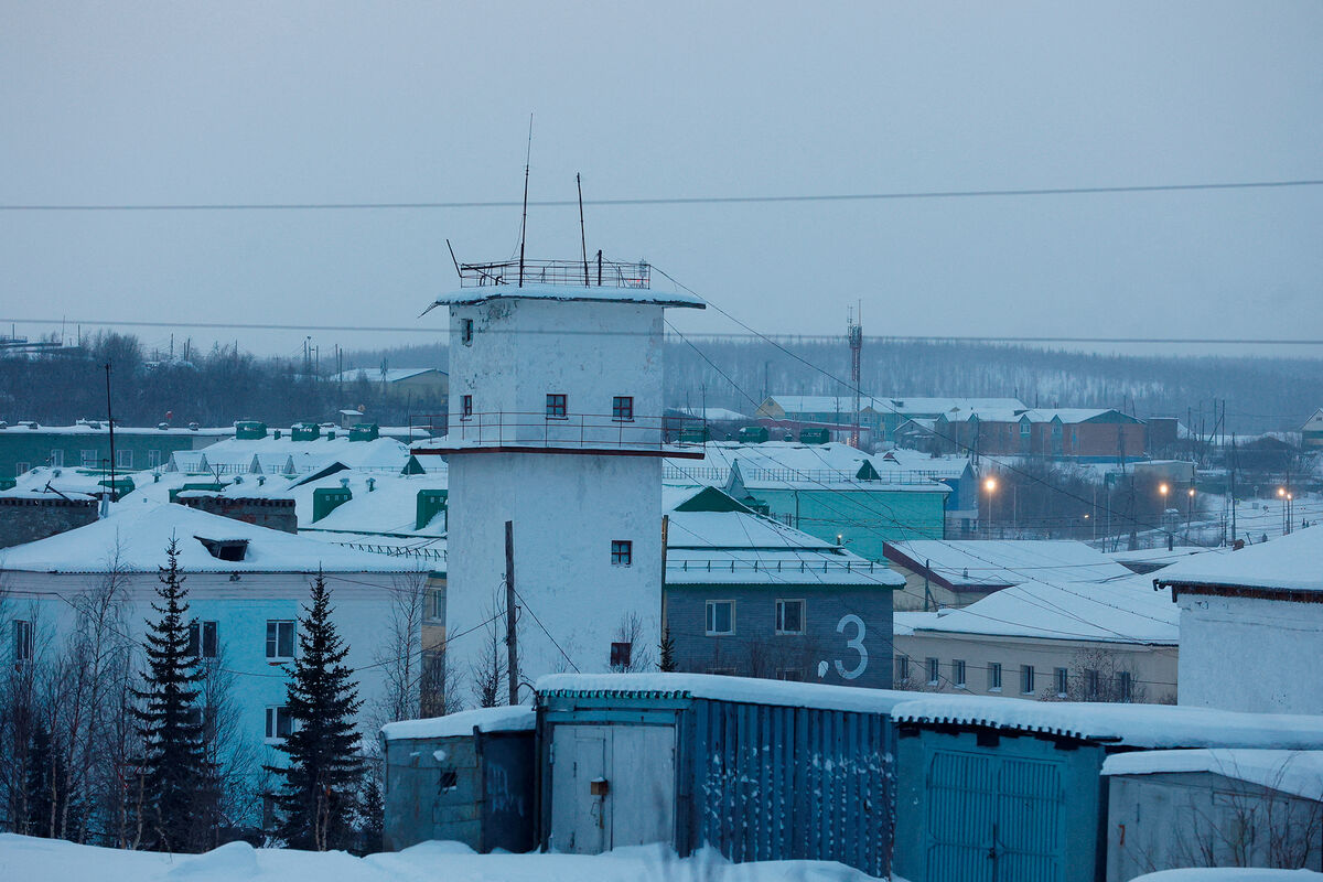 Омбудсмен не заметил нарушений при проверке в ИК-3, где содержался  Навальный - Газета.Ru | Новости