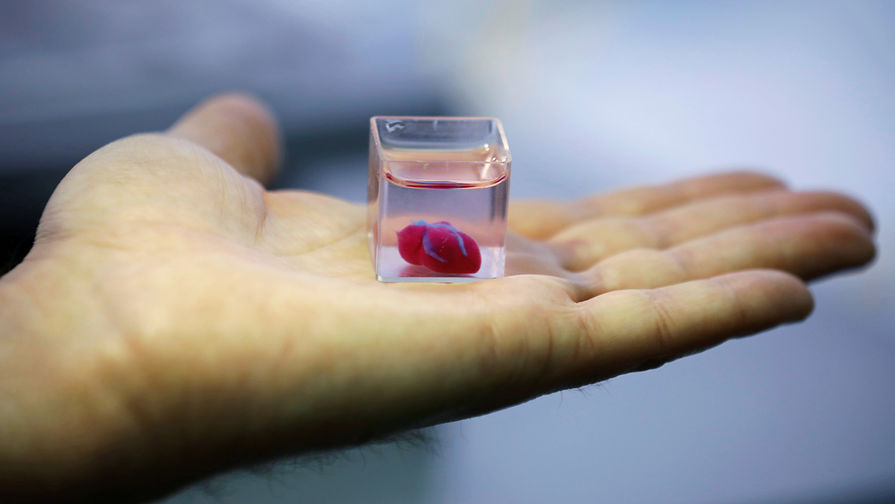 Сердце, напечатанное на&nbsp;3D-принтере, 15 апреля 2019 года