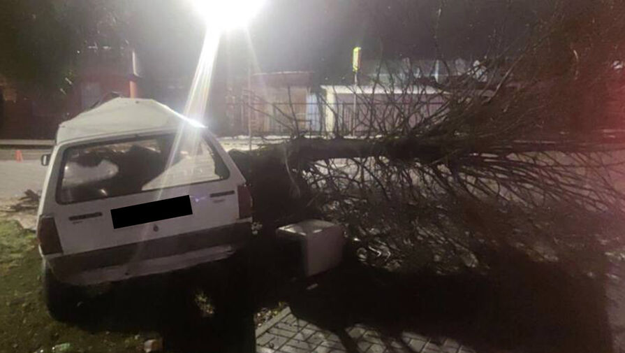 Житель Калининградской области разбил машину собутыльника о дерево, пока тот спал