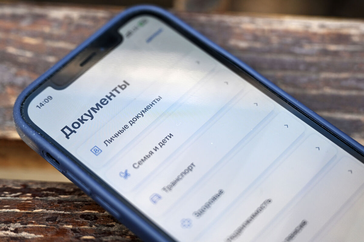 Для простых жизненных ситуаций»: когда и как можно будет применять цифровые  документы - Газета.Ru