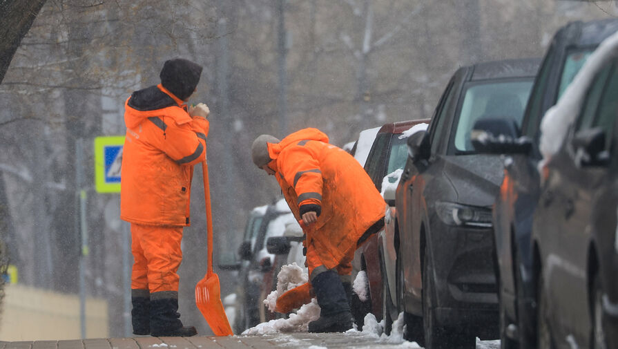 В Госдуме посчитали, сколько мигрантов может заменить один россиянин