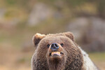<b>«Улыбнись, тебя фотографируют!»</b>