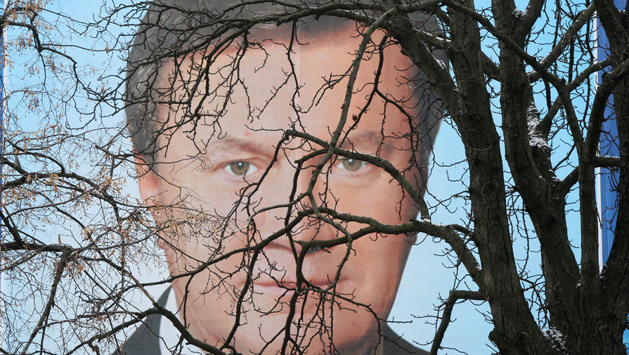 Плакат с&nbsp;изображением кандидата в&nbsp;президенты Украины Виктора Януковича, январь 2010 года
