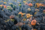 Осень в каменном лесу, Куньмин, Китай