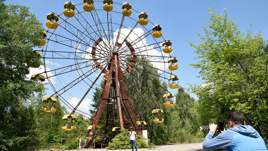 Российские ученые впервые установили причины радиоактивной устойчивости растений