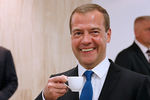 Премьер-министр Дмитрий Медведев, 2015 год