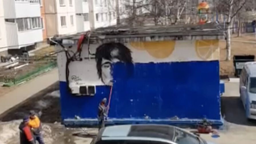 В Южно-Сахалинске закрасили граффити с Земфирой после требований депутата