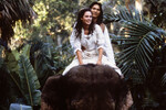 Кадр из фильма «Книга джунглей» (1994)