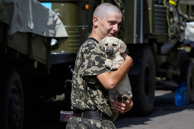 Украинский военнослужащий в городе Волноваха