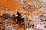 Спасение лошади в Бразилии после затопления сточными водами из шахт рудников компании Samarco