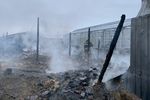 Последствия пожара на территории тепличного комплекса в деревне Нестерово в Московской области, 7 января 2020 года