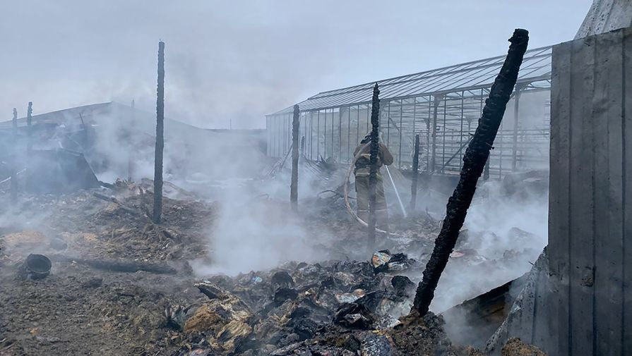 Последствия пожара на&nbsp;территории тепличного комплекса в&nbsp;деревне Нестерово в&nbsp;Московской области, 7 января 2020 года