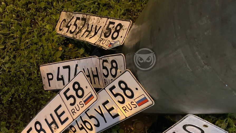 Десятки пензенцев обнаружили свои номерные знаки в лужах 