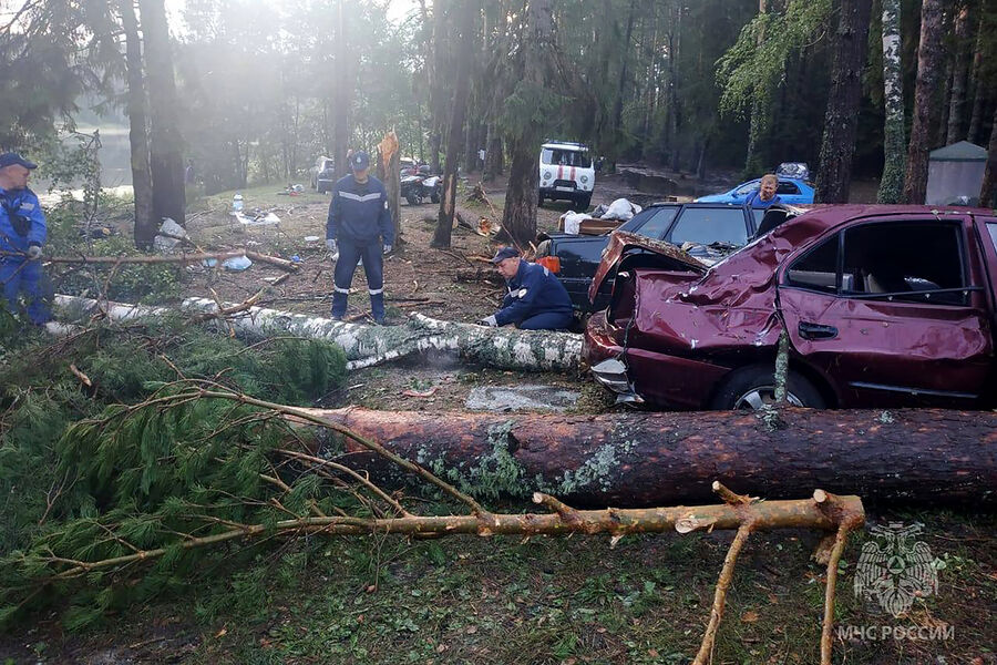 Работа спасателей на месте падения деревьев в палаточном лагере на озере Яльчик, 30 июля 2023 года