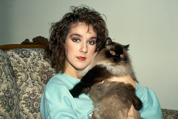 Селин Дион с&nbsp;котом, 1988&nbsp;год