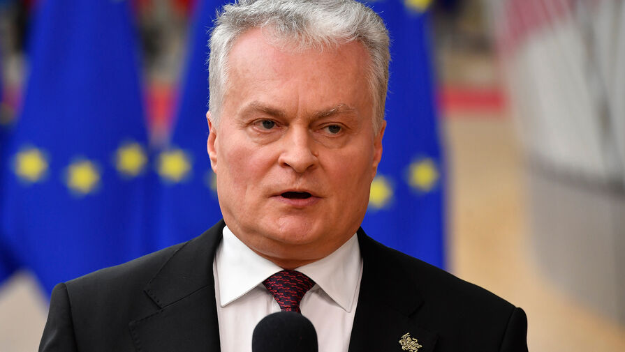 Президент Литвы заявил, что голосовал за стабильность