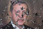 Голуби и портрет турецкого президента Реджепа Тайипа Эрдогана в Бурсе, апрель 2019 года