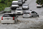 Подтопленная улица во время дождя во Владивостоке, 25 августа 2023 года