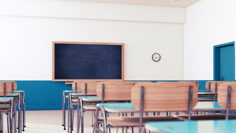 В петербургской гимназии прокомментировали увольнение учителя