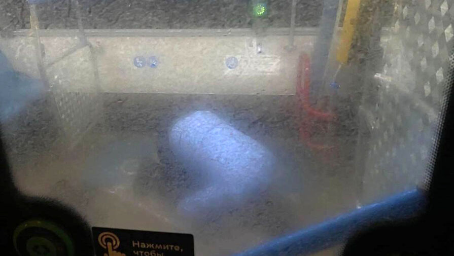 Водитель автобуса совершил намаз в салоне, выгнав москвичей на мороз