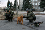 Украинские военнослужащие в Дебальцево