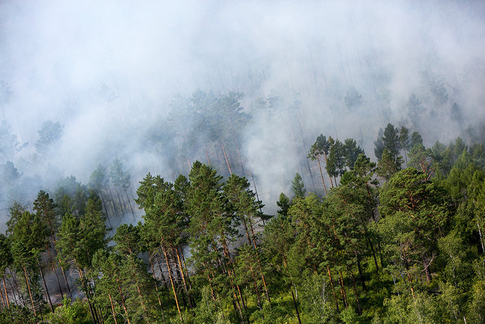Лесные пожары в Амурской области в июле 2015 года