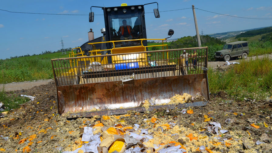 Уничтожение импортного сыра на полигоне в Белгородской области, 2015 год