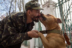 Ополченец с собакой по кличке Рекс-сепаратист в Донецке