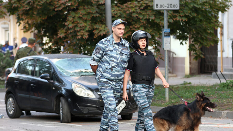 В Минобороны РФ рассказали о попытке ВСУ атаковать объекты в РФ с помощью БПЛА