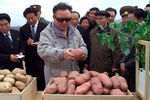 Архивная фотография Ким Чен Ира, опубликованная Центральным новостным агентством Северной Кореи 26 декабря 2011 года