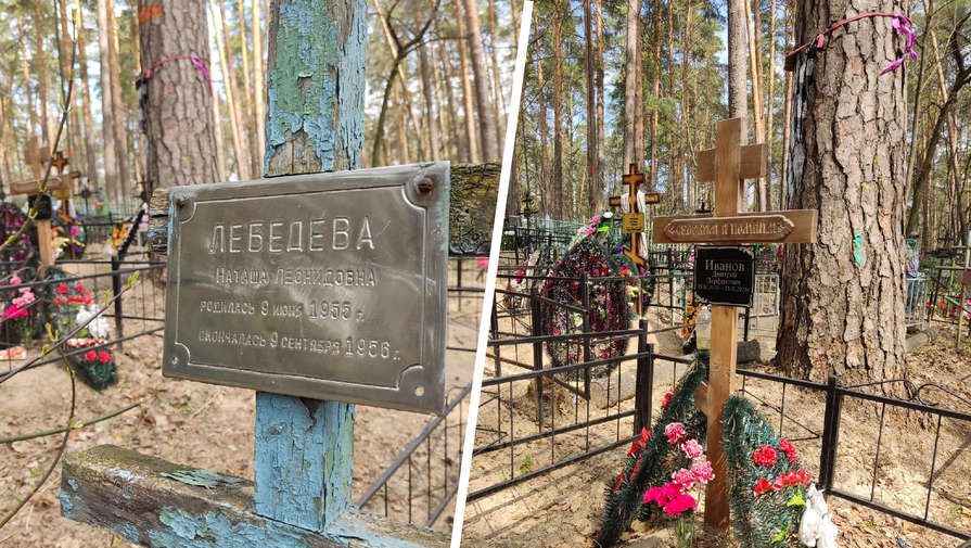 Жительница Татарстана обнаружила могилу чужого человека на месте ее прабабушки