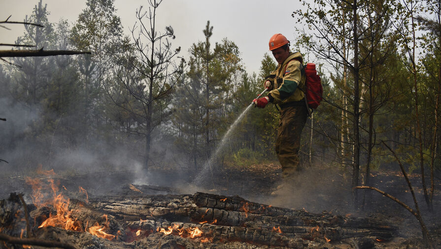 Глава МЧС России рассказал о противопожарных мерах в лесу