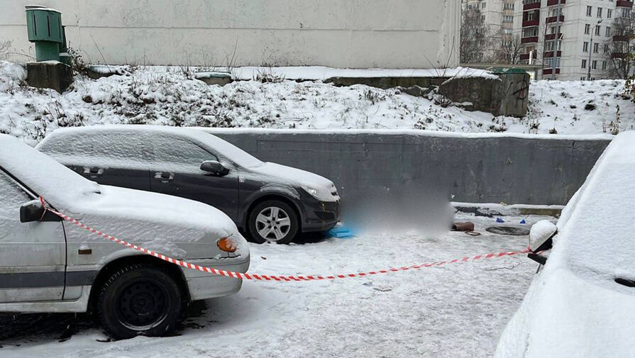 Убитой на юго-западе Москвы оказалась переехавшая из Донецка уроженка Мариуполя
